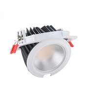 LED Downlight verstellbar 60W