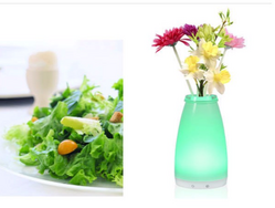 LED Vase Light & Flower, Glasvase