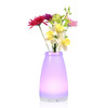 LED Vase Light & Flower, Glasvase